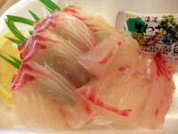 sashimi